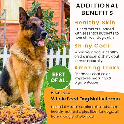 Olewo Original Carrots for Dogs – Fiber for Perfect Poop, Dehydrated Dog Food Toppers for Picky Eaters, Natural Skin & Coat Support, Multivitamin, Probiotics for Digestive & Gut Health, 2.2 lbs