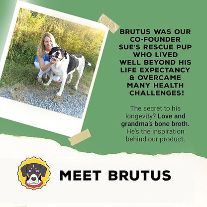 Brutus Broth Skin and Coat Meal Toppers for Dogs Mega Pack (Salmon Flavor) - Vegetable Broth Powder with Omegas 3, 6 & 9 - Dog Food Toppers for Dry Food - Makes 130oz of Liquid Bone Broth