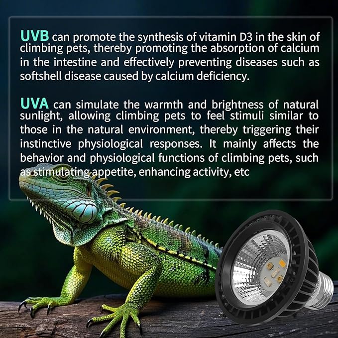 UVB Light Bulb for Reptiles, LED 3W 5.0 UVA UVB Heat Lamp Bulbs Ideal for Rainforest Reptiles, Bearded Dragons Lizard Turtle Tortoise Iguanas Chameleons Snake (2 Pack)