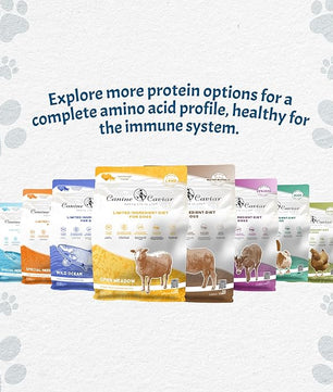 Canine Caviar - Special Needs: Trout & Whole Ground Oats, Alkaline Dry Dog Food, Limited Ingredients, Gluten-Free, Based on Science & Research, Veterinary Alternative Diet (11 Pound Bag)