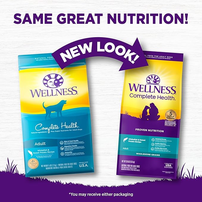 Wellness Complete Health Dry Dog Food with Grains, Natural Ingredients, Made in USA with Real Meat, All Breeds, For Adult Dogs (Whitefish & Sweet Potato, 30-Pound Bag)