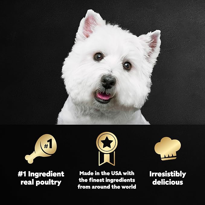 Cesar Wet Dog Food Classic Loaf in Sauce Poultry Variety Pack, 3.5 oz. Easy Peel Trays (24 Count, Pack of 1)