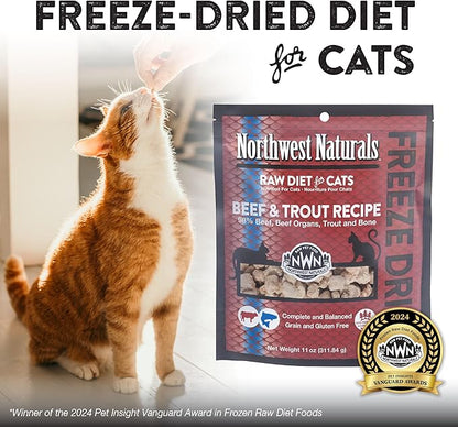 Northwest Naturals Freeze-Dried Beef & Trout Cat & Kitten Food – Bite-Sized Nibbles – Healthy, Limited, Human-Grade Ingredients, All-Natural, High-Protein Diet – Complete & Balanced, 11 oz (Pack of 3)