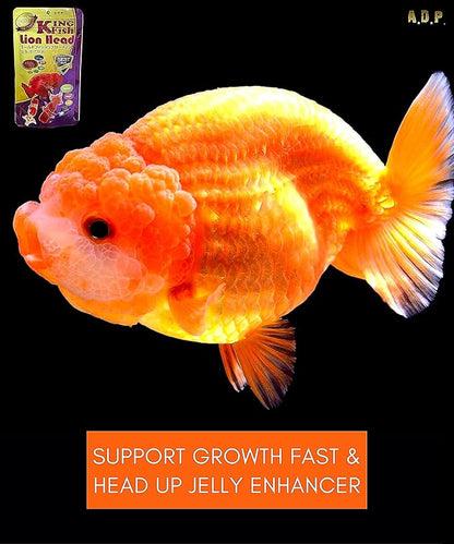 Lion Head UP Formula 100 g, Goldfish Food Sinking Pellet 1.5 mm, High Protein 48.9% Tropical Fish Color Enhancing, Highly Nutritious for Growth Fast Big Muscle & Mass Gain Healthy
