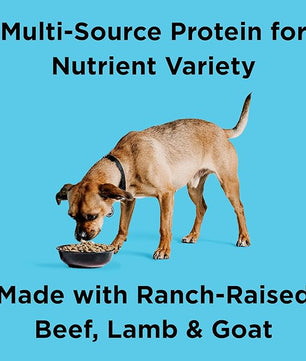 BIXBI Liberty Grain Friendly Dry Dog Food, Rancher's Red Recipe, 4 lbs - Fresh Meat, No Meat Meal, No Fillers - No Soy, Corn, Rice or Wheat for Easy Digestion - USA Made