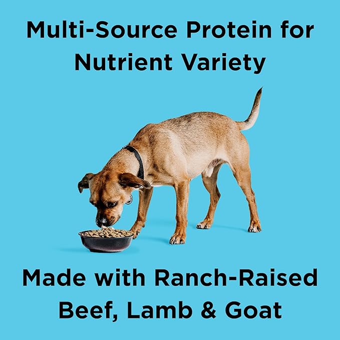 BIXBI Liberty Grain Friendly Dry Dog Food, Rancher's Red Recipe, 4 lbs - Fresh Meat, No Meat Meal, No Fillers - No Soy, Corn, Rice or Wheat for Easy Digestion - USA Made