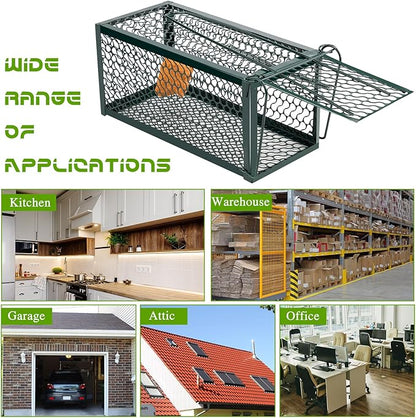 Qualirey 4 Pcs Humane Rat Trap Chipmunk Rodent Mouse Squirrel Trap Small Live Animal Mouse Voles Hamsters Live Cage Rat Cage for Mice Easy to Catch and Release (Green)