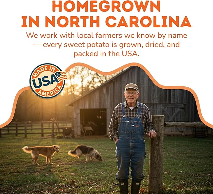 Davie's Sweet Potato Dog Treats - Healthy, Natural Dog Chews, Low Fat, 1 lb. Bag