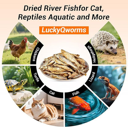 Dried Freshwater Fish, 1 Lbs Resealable Bag - Natural High-Protein Food for Turtles, Reptiles, Large Tropical Fish, Cats, Small Pets and Chicken - Crude Protein 30% Min