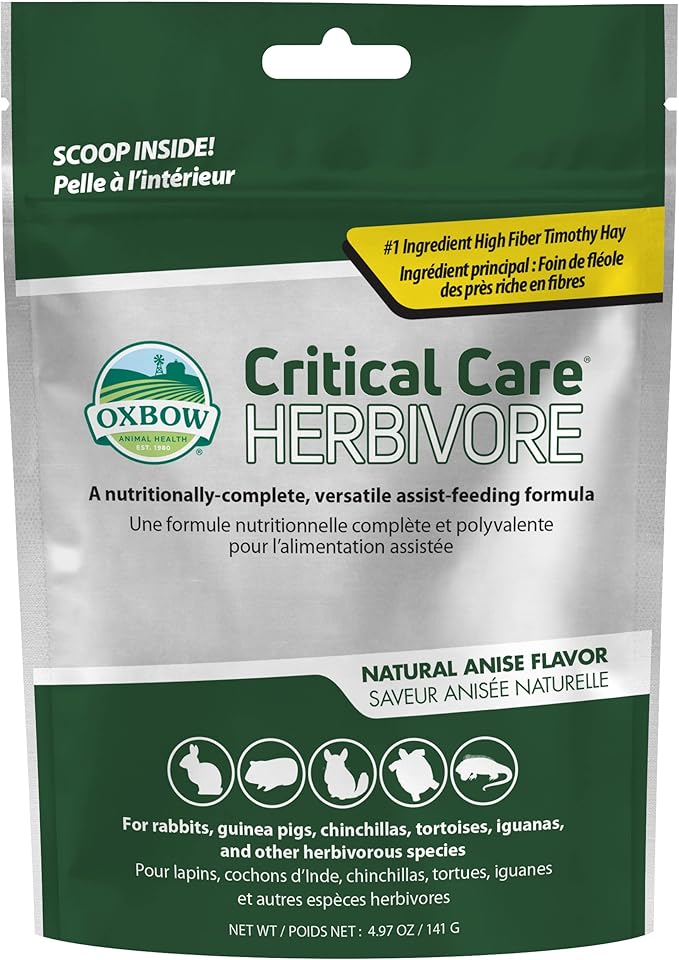 Oxbow Critical Care Herbivore, Emergency Guinea Pig Food, Rabbit Food for Recovery, Natural Anise Flavor, Veterinary Formula, Critical Care for Guinea Pig Emergency Kit, 141 gram bag