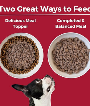 KOHA Limited Ingredient Diet Beef Entrée for Dogs - Grain Free Wet Dog Food with No Fillers - Sensitive Stomach Beef Dog Food 13 oz Pack of 12