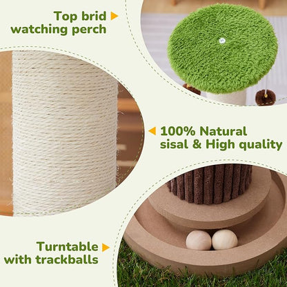 Scratcher Posts for Adults Cats - 33" Tall Cat Scratching Post, Premium Sisal Post for Kittens, Cat Scratcher Tree with Reinforced Stable Base and Interactive Wooden Ball (Green)