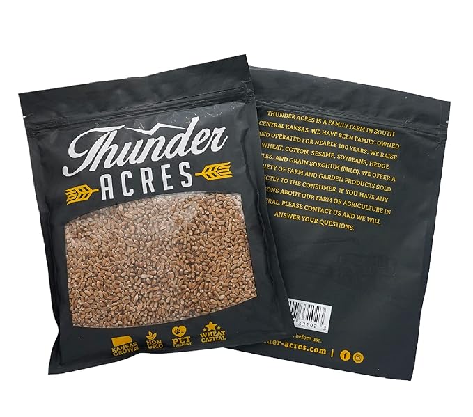 Non-GMO, Thunder Acres Premium Wheat Seed, Cat Grass Seed, Wheatgrass, Hard Red Winter Wheat (25 lbs.)