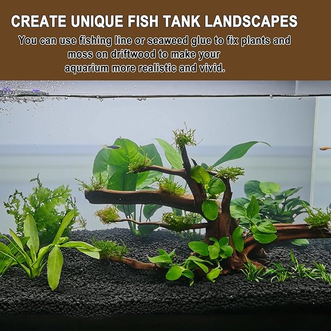 kathson 4Pcs Aquarium Driftwood, 3.5"-7" Small Natural Wood Driftwood Tree Fish Tank Decoration Assorted Branches Ornament for Fish, Shrimp, Aquatic Animals Play