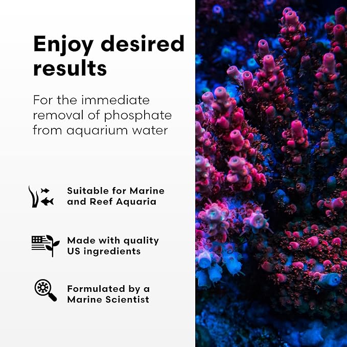 Brightwell Aquatics Phosphat-E Liquid Phosphate Remover for Marine Fish and Reef Aquariums - Aquarium Water Treatments, 8.45 fl oz