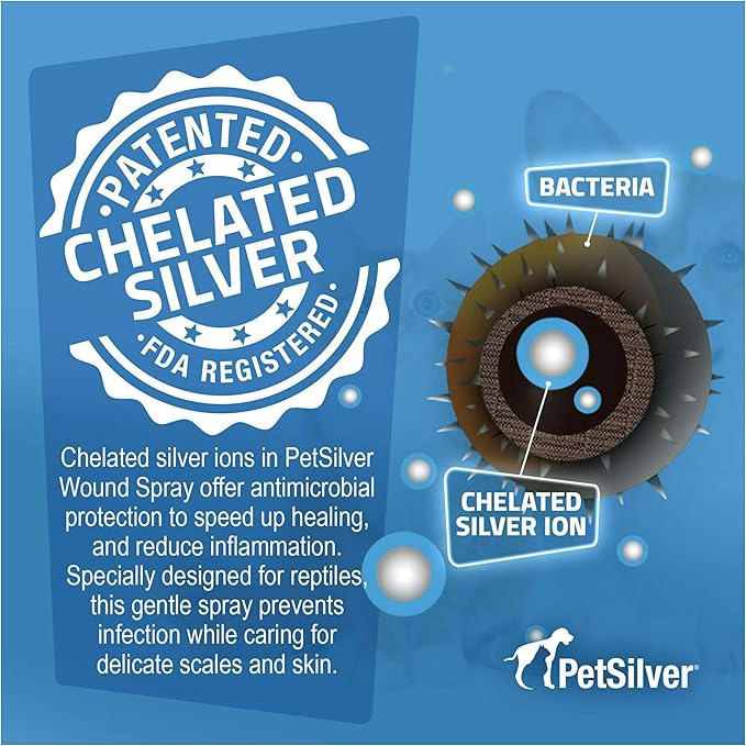 PetSilver Reptile Wound Spray with Chelated Silver – Reptile Wound Care for Snakes, Lizards, Geckos – Burns, Sores, Irritations & Scale Rot Treatment – Non-Toxic & Safe – Made in USA – 2 fl oz