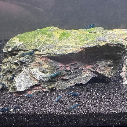 Aquarium Sand, 2lbs Black Fish Tank Sand, Aquarium Gravel Substrate for Aquascaping, Vivariums, Terrariums, Plants and Crafts