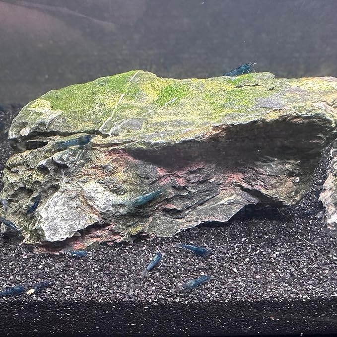 Aquarium Sand, 10lbs Black Fish Tank Sand, Aquarium Gravel Substrate for Aquascaping, Vivariums, Terrariums, Plants and Crafts