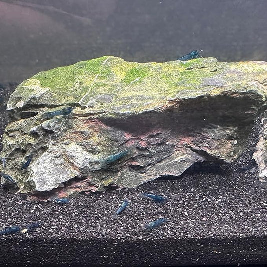 Aquarium Sand, 10lbs Black Fish Tank Sand, Aquarium Gravel Substrate for Aquascaping, Vivariums, Terrariums, Plants and Crafts