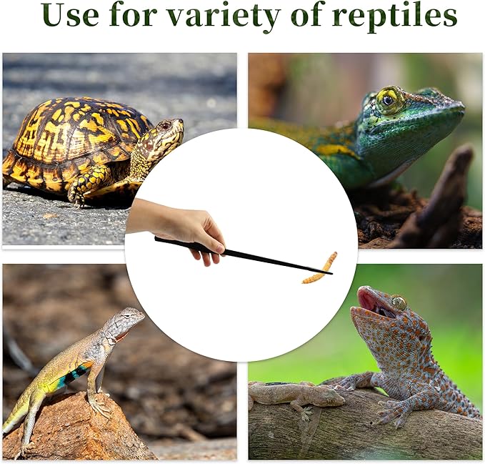 Reptile Feeding Tongs, Stainless Steel Lizard Feeding Tongs, Aquarium Straight Feeding Tweezers for Reptiles with Rubber Tip, Terrarium Feeding Tong for Gecko, 14.96" Length, Black