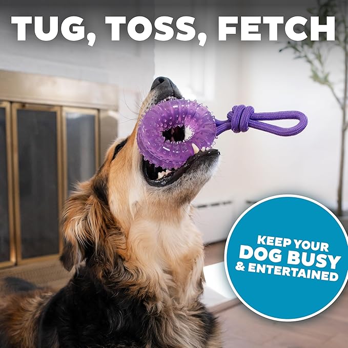 Outward Hound 2-in-1 Dental Dog Chew Wheel Ring & Rope Tug Toy for Teething Puppies & Dogs, Mint-Scented & Teeth-Cleaning, 9-Inch, Purple