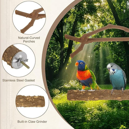 6PCS Bird Perch Natural Wood Grape Stick Bird Stand, 4 Grape Stick Paw Grinding Fork Parakeet Chewing Stick 2 Parrot Stand Branch