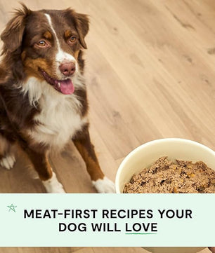 Open Farm Canned Dog Food, Paté for Complete & Balanced Nutrition, Grain-Free and Legume-Free, Harvest Chicken Recipe, 12.5oz Cans (Pack of 12)
