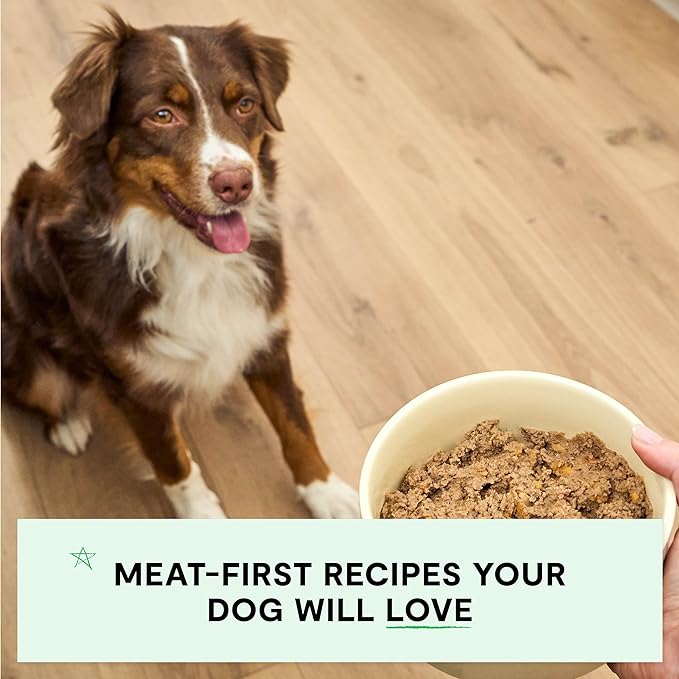 Open Farm Canned Dog Food, Paté for Complete & Balanced Nutrition, Grain-Free and Legume-Free, Surf & Turf Recipe, 12.5oz Cans (Pack of 12)