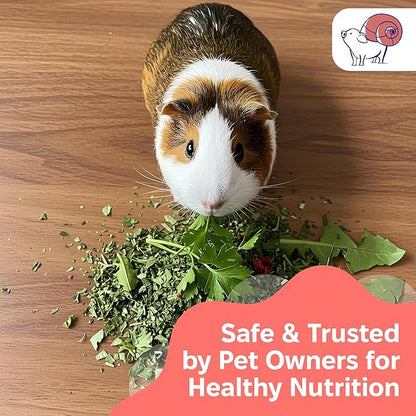 Snout and Shell 1.75 oz Eat Your Greens Topper – Natural Foraging Treat for Rabbits, Guinea Pigs & Chinchillas