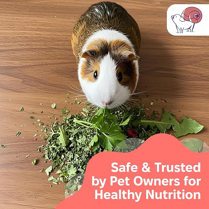 Snout and Shell 7 oz Eat Your Greens Topper – Natural Foraging Treat for Rabbits, Guinea Pigs & Chinchillas