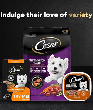 Cesar Filets in Gravy Wet Dog Food Filet Mignon Flavor, Rotisserie Chicken Flavor, and Wood-Grilled Chicken Flavor Variety Pack, 1.76 oz. Mini-Pouches (40 Count, Pack of 1)