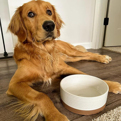 Mora Ceramic Pet Bowl Size Medium - Food/Water Dish for Large Puppies, Cats, Retrievers, Medium Sized Dogs, ect. 28oz or 4 Cups - Basic Bowls for Your Dog or Cat, Mix and Match for a Set - Vanilla