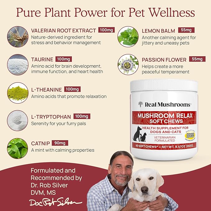 Real Mushrooms Calming Treats for Dogs & Cats – Reishi, Lion’s Mane, Botanicals – Cat & Dog Soft Chews for Daily Use – Calming Chews for Cats & Dogs – 60 ct Grain-Free Pet Bites