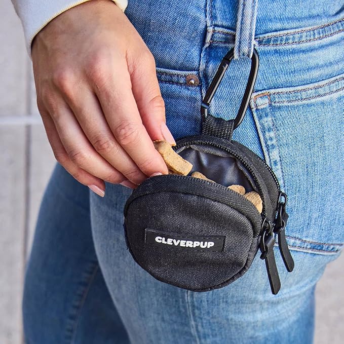 Snackpack Double Insulated Dog Treat Pouch - Holds 1.5 Cups - Dog Training and Walks Snack Bag, Two Pockets for Dry or Wet Treats, Attaches to Leash, Belt, or Bag - Graphite