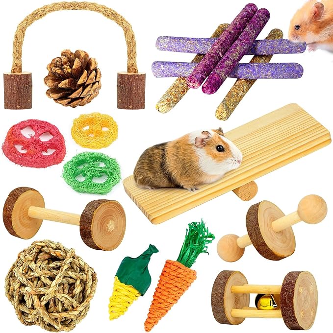 Hamster & Guinea Pig Toys - 18 Pcs Wooden Small Animal Chew Toys for Teeth - Rabbit, Chinchilla, Gerbils, Rats Exercise Accessories