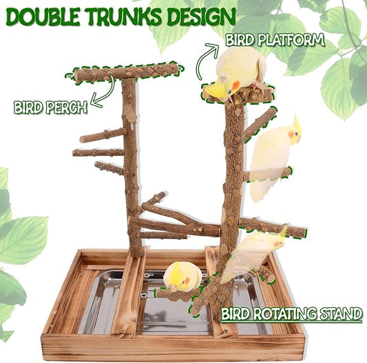 Bird Playground - Natural Wood Bird Perch Stand with Removable Tray and 2 Stainless Steel Cups