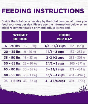 Wellness Complete Health Dry Dog Food, Wholesome Grains, Natural, Chicken & Oatmeal Recipe, (26-Pound Bag)
