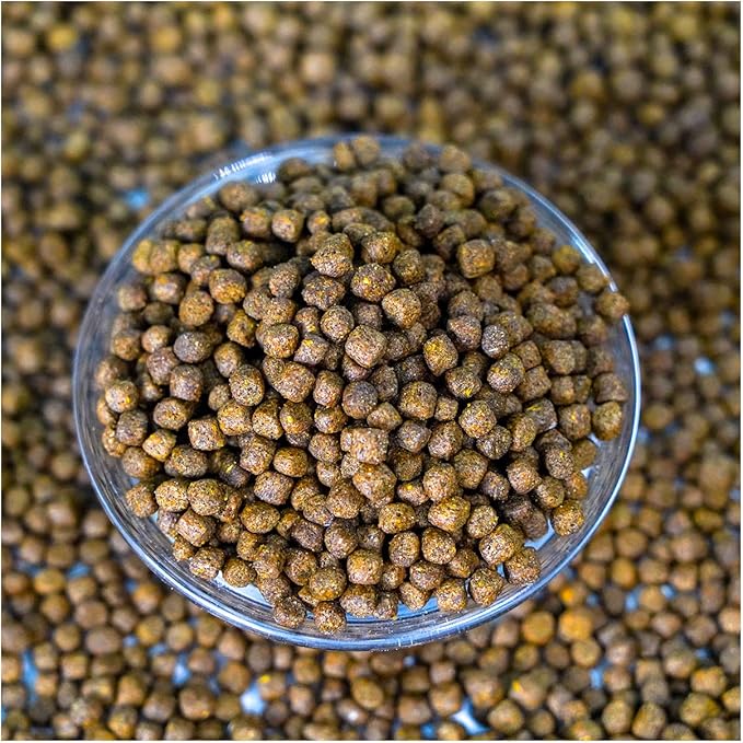 Natural Waterscapes Game Fish Food Variety | 40 lb Bulk Fish Food Pellets | Feed to Bass, Bluegill, Trout, Catfish, Tilapia