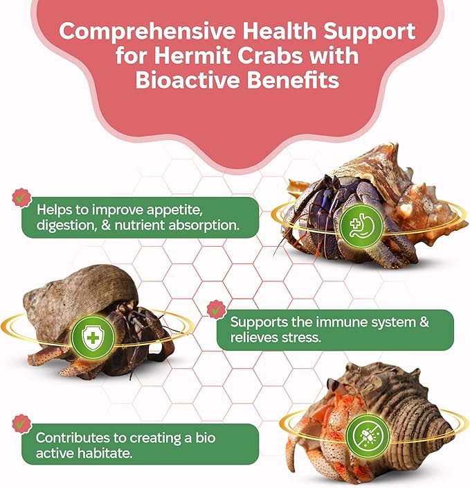 Probiotic Supplement for Hermit Crabs – 5 Billion CFU/g for Bioactive Tank Support – Gut Health and Substrate Booster – Made in USA – Safe Beneficial Bacteria for Crabitats