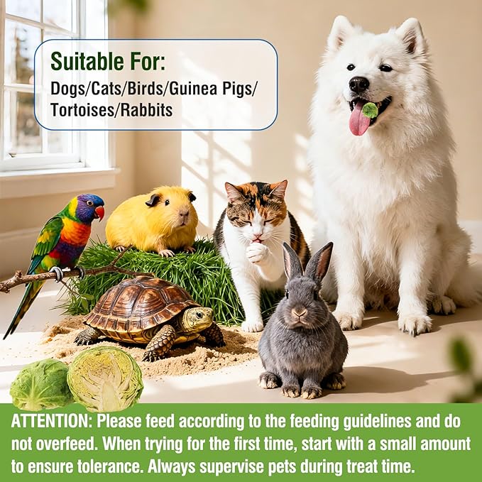 Freeze Dried Brussels Sprouts for Dog, Single Ingredient, Nutrient Rich, Low Calorie Dog Treats Snack, Also for Rabbits, Birds, Turtles & Guinea Pigs (50g)