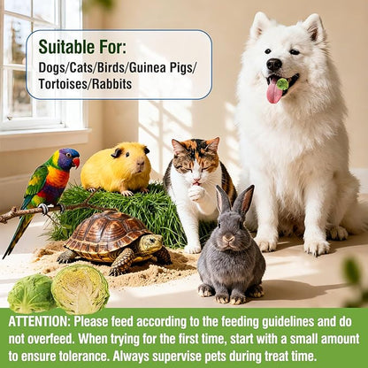 Freeze Dried Brussels Sprouts for Dog, Single Ingredient, Nutrient Rich, Low Calorie Dog Treats Snack, Also for Rabbits, Birds, Turtles & Guinea Pigs (50g)