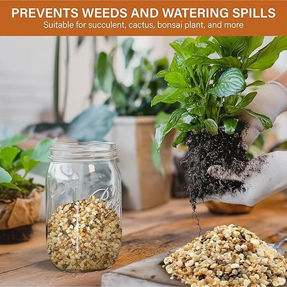 NUPICK 3-5mm Coarse Sand for Plants, 3lb Horticultural Grit for Succulents, Desert Silica Sand for Cactus, Decorative Gravel for Landscaping, Gold Grit for Aquariums, Bonsai, Vases Fillers