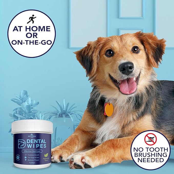 NOVEHA 100PCs Pets Dental Finger Wipes for Dogs & Cats | Freshens Breath, Reduces Plaque | Healthier Gums | Clean Teeth No Toothbrush | Vet Recommended Effective Natural Oral Care | Mint Flavor