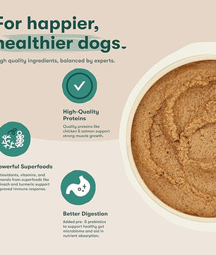 Jinx Premium Wet Dog Food Cans, Variety Pack - Salmon & Chicken Pate - Grain-Free Canned Dog Food Pate & Topper with Real Ingredients & No Fillers - All Life Stages, Breeds & Sizes - 12-Pack, 13 Oz