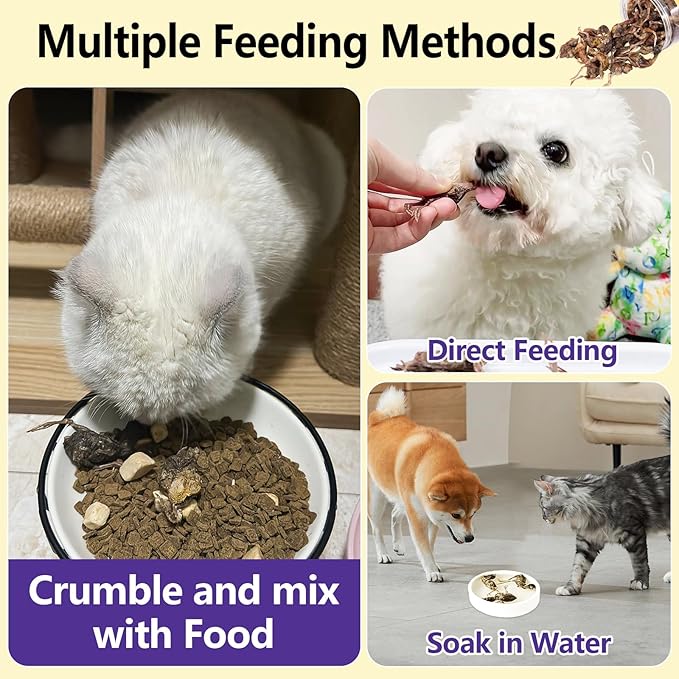 3.52oz/100g Freeze Dried Little Quail, Dogs Cats Treats with High Protein, Single Ingredient Pet Snacks, Healthy Tasty Dry Pet Food