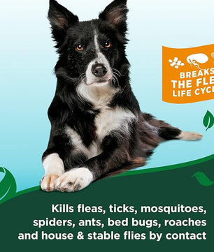 Vet's Best Natural Flea and Tick Easy Spray for Dogs – Cotton Spice Scent – Natural Flea & Tick Prevention – Kills Pests on Contact – Plant-Based Formula – Made in USA – 14 oz