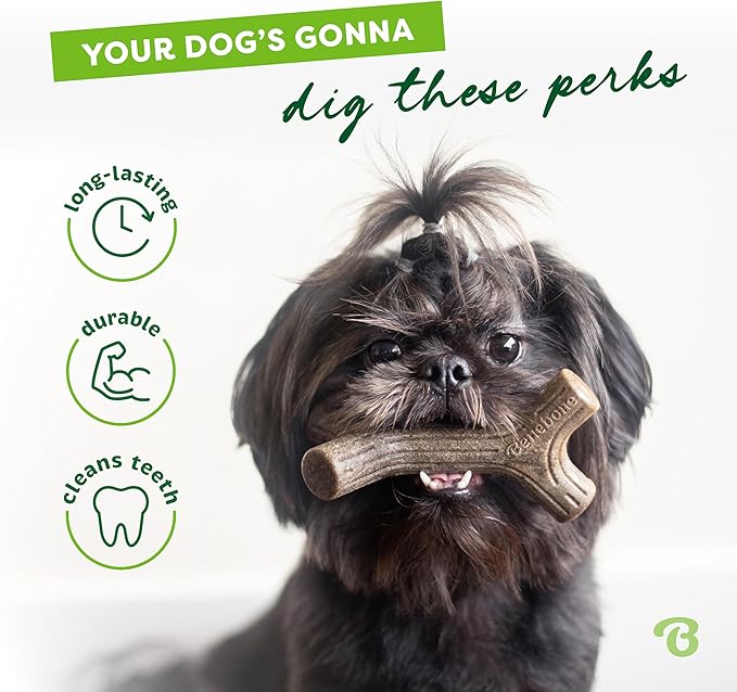 Benebone 2-Pack Maplestick/Zaggler Durable Dog Chew Toys, Real Bacon, Real Maplewood, Made in USA, Tiny, Extra Small, Brown