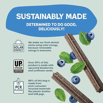 Shameless Pets Toothberry Dental Chews for Dogs – Natural Dog Dental Sticks for Fresh Breath, Teeth Cleaning & Removes Tartar, Grain-Free Dog Treats, No Corn or Soy, 32 Sticks