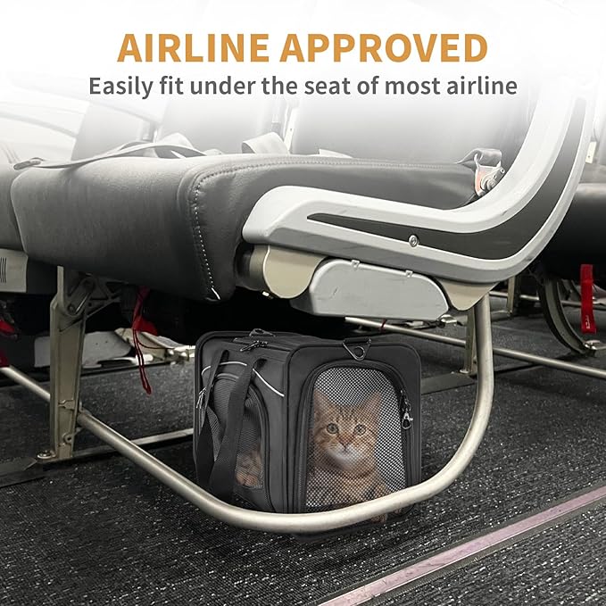 Petsfit Airline Approved Pet Carrier for Small Cats, 15x8x10 TSA Approved Carrier, with Removable Dual-Sided Padding (2-Way Placement) - Fits Under Most Airplane Seats, Escape Proof (Black)