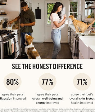 The Honest Kitchen One Pot Stews: Variety Pack, 10.5 oz x3